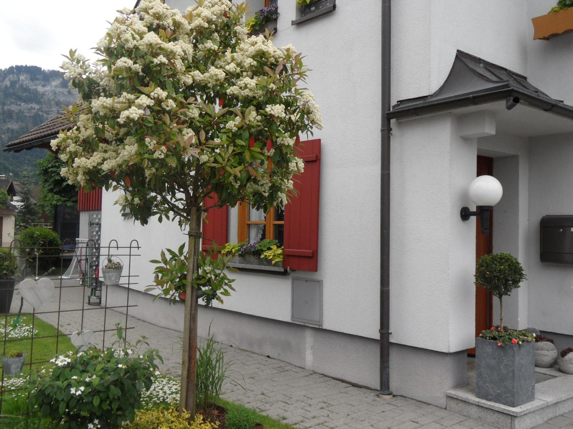 Ferienwohnung Lilly Dornbirn Exterior foto